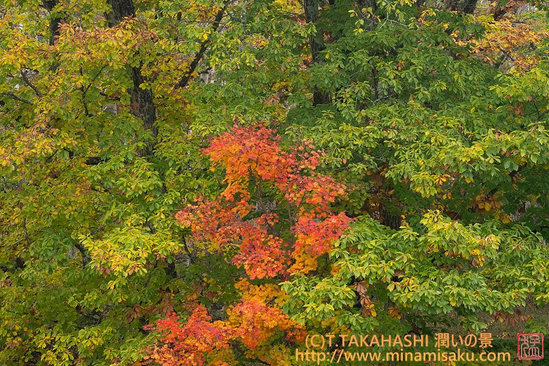 ../Images/7R251026 (323).jpg